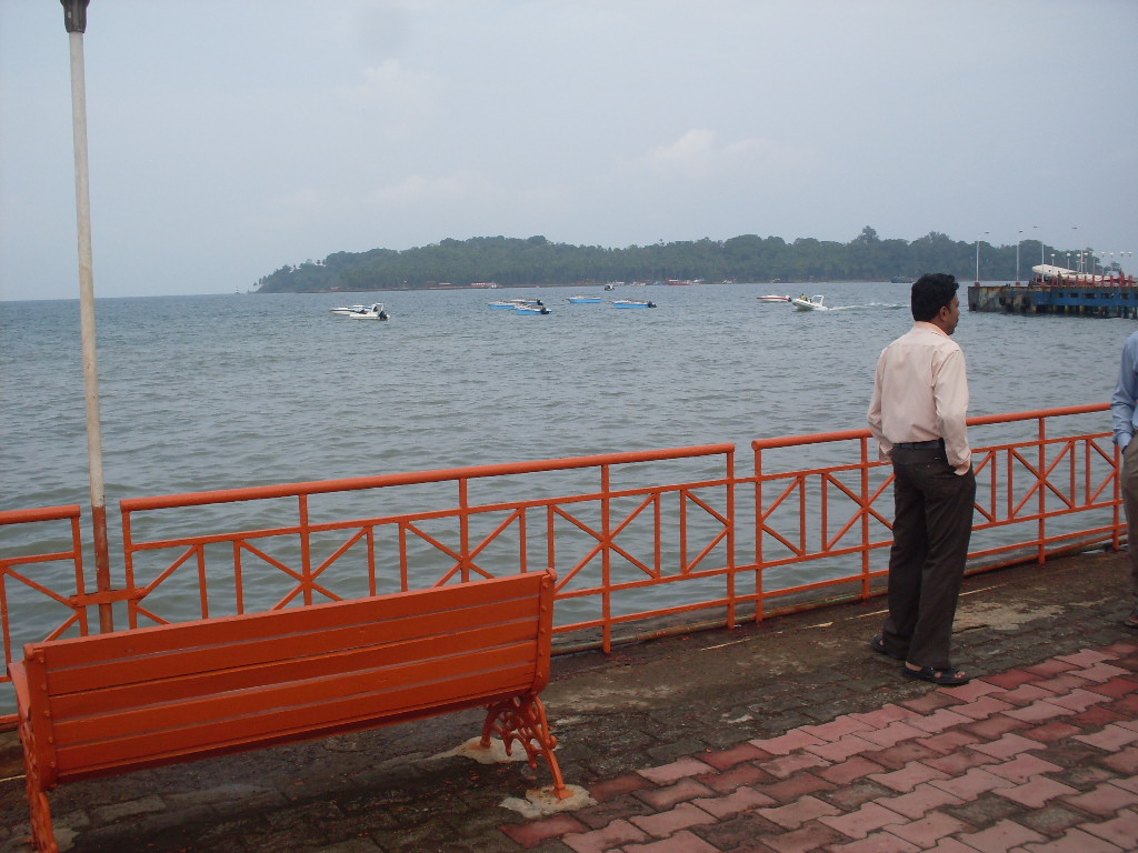SDC11767.JPG