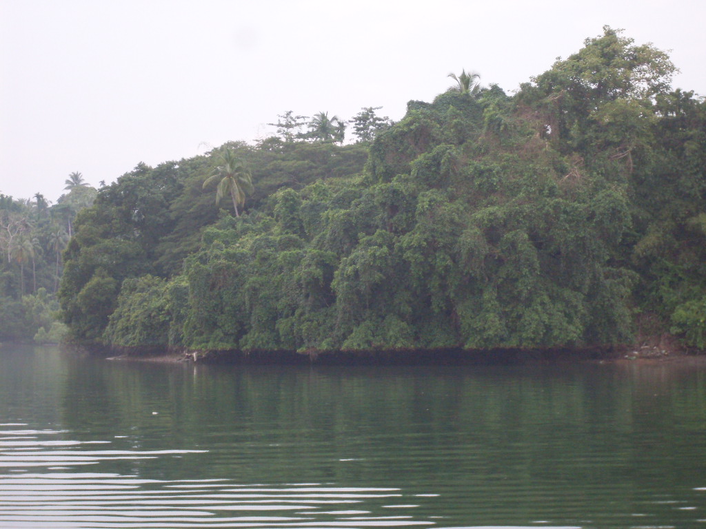 SDC11785.JPG