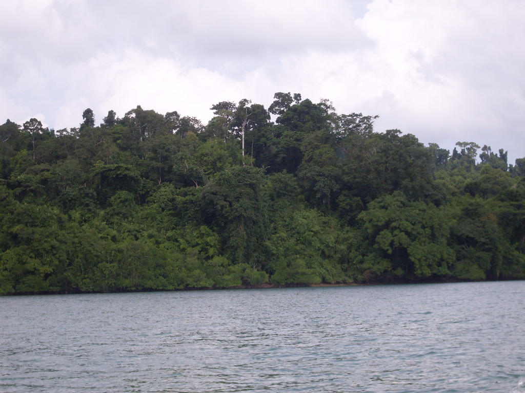 SDC12065.JPG