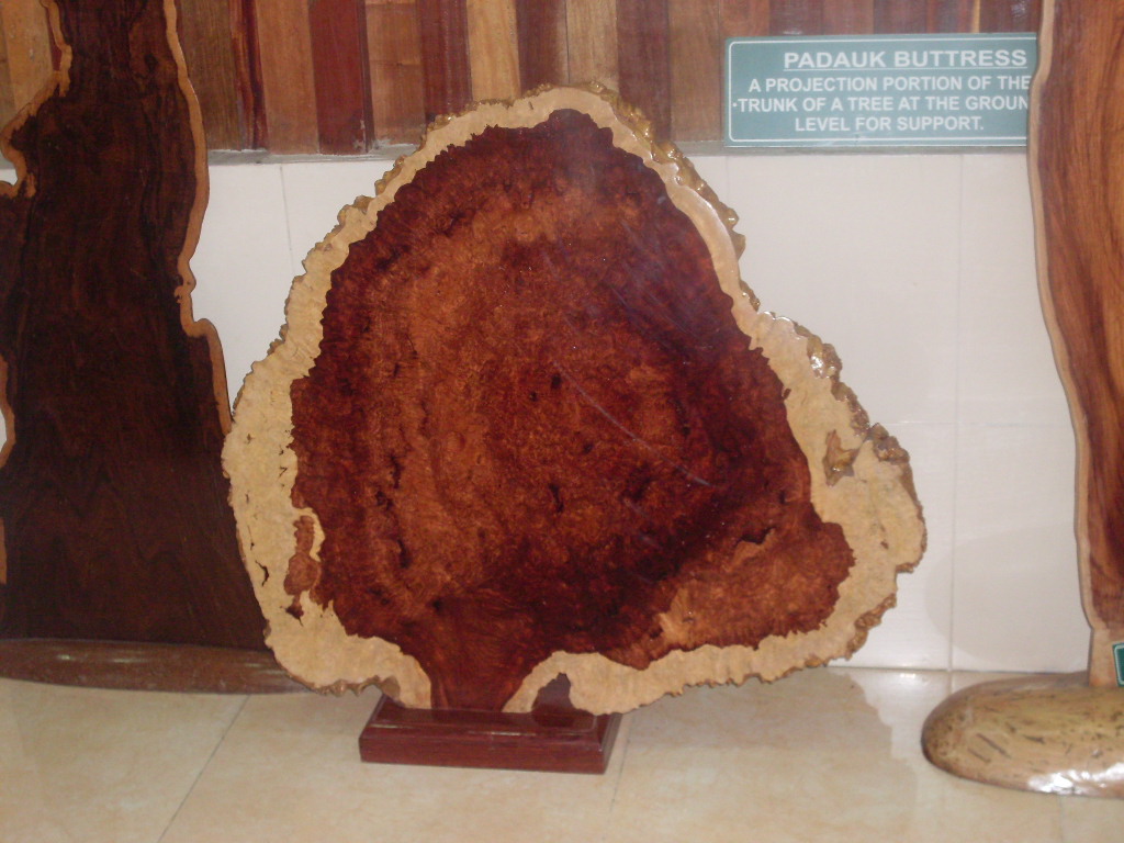 SDC12213.JPG