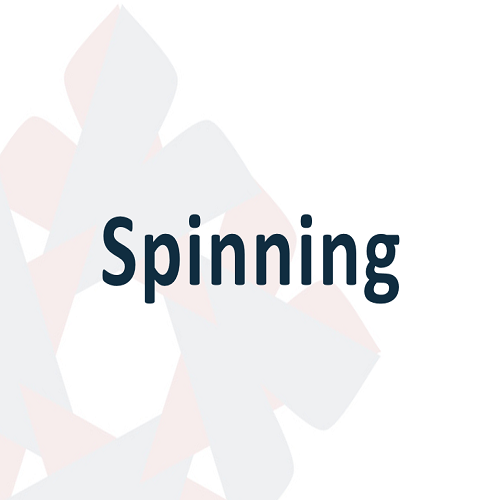 03 Spinning